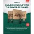 BioTechUSA Vegan Protein, 純素食植物蛋白粉, 2000克